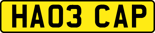 HA03CAP