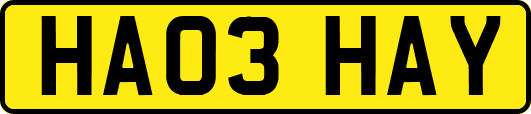 HA03HAY
