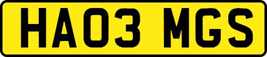 HA03MGS