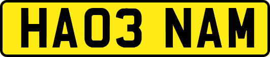 HA03NAM