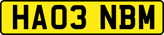 HA03NBM