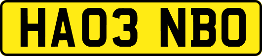 HA03NBO