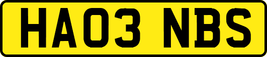 HA03NBS