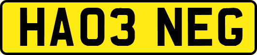 HA03NEG