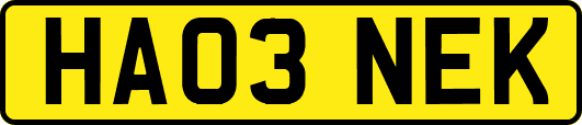 HA03NEK