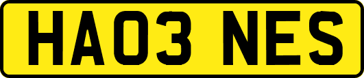 HA03NES