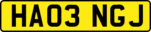 HA03NGJ