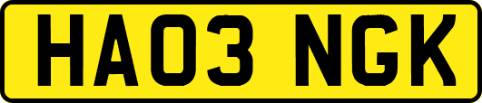HA03NGK