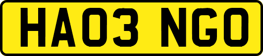 HA03NGO