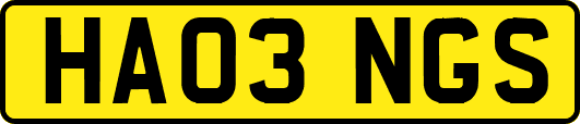HA03NGS