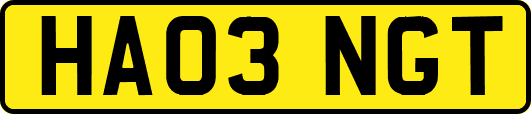 HA03NGT
