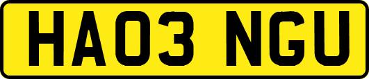 HA03NGU