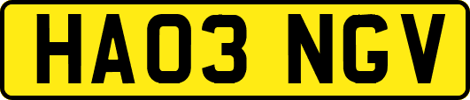 HA03NGV