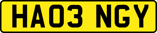 HA03NGY