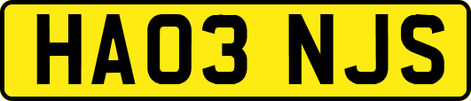 HA03NJS