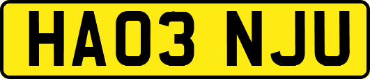 HA03NJU