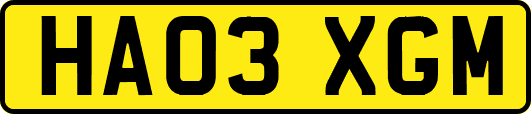 HA03XGM