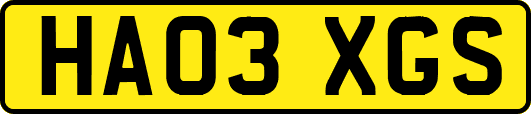 HA03XGS