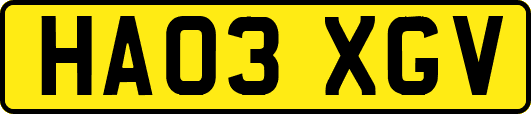 HA03XGV