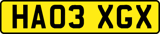 HA03XGX