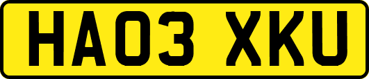 HA03XKU