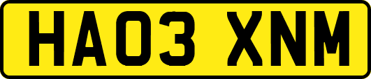 HA03XNM