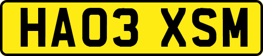 HA03XSM