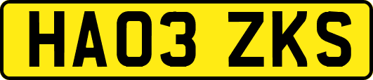 HA03ZKS