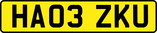HA03ZKU