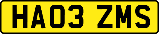 HA03ZMS