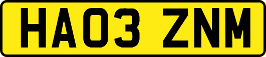 HA03ZNM
