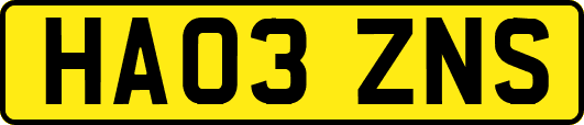 HA03ZNS