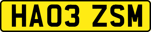 HA03ZSM