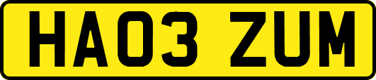 HA03ZUM