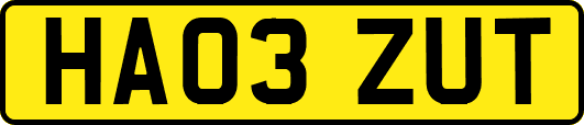 HA03ZUT