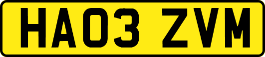 HA03ZVM
