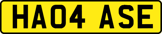 HA04ASE