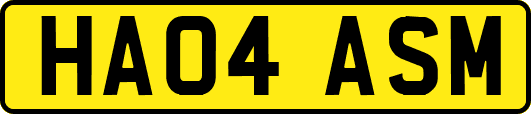 HA04ASM