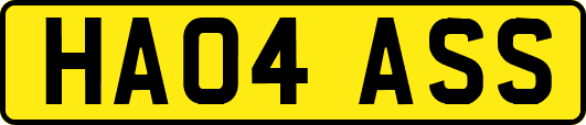 HA04ASS