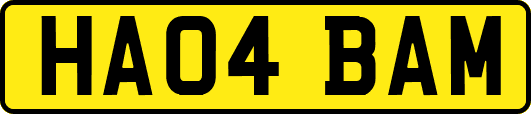 HA04BAM