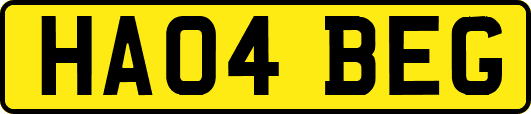 HA04BEG