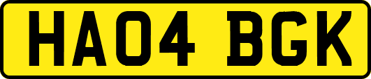 HA04BGK