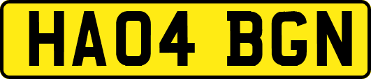 HA04BGN