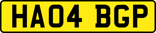HA04BGP