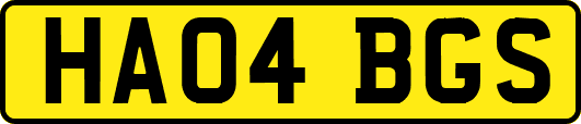 HA04BGS