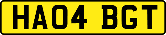 HA04BGT