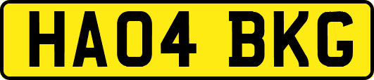 HA04BKG