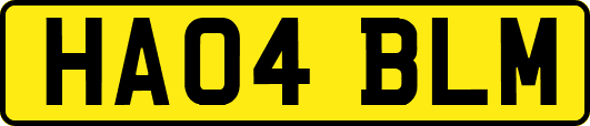 HA04BLM