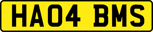 HA04BMS