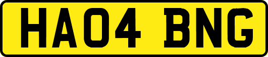 HA04BNG